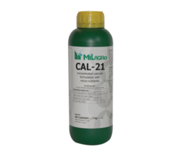 کال 21 (Cal 21)